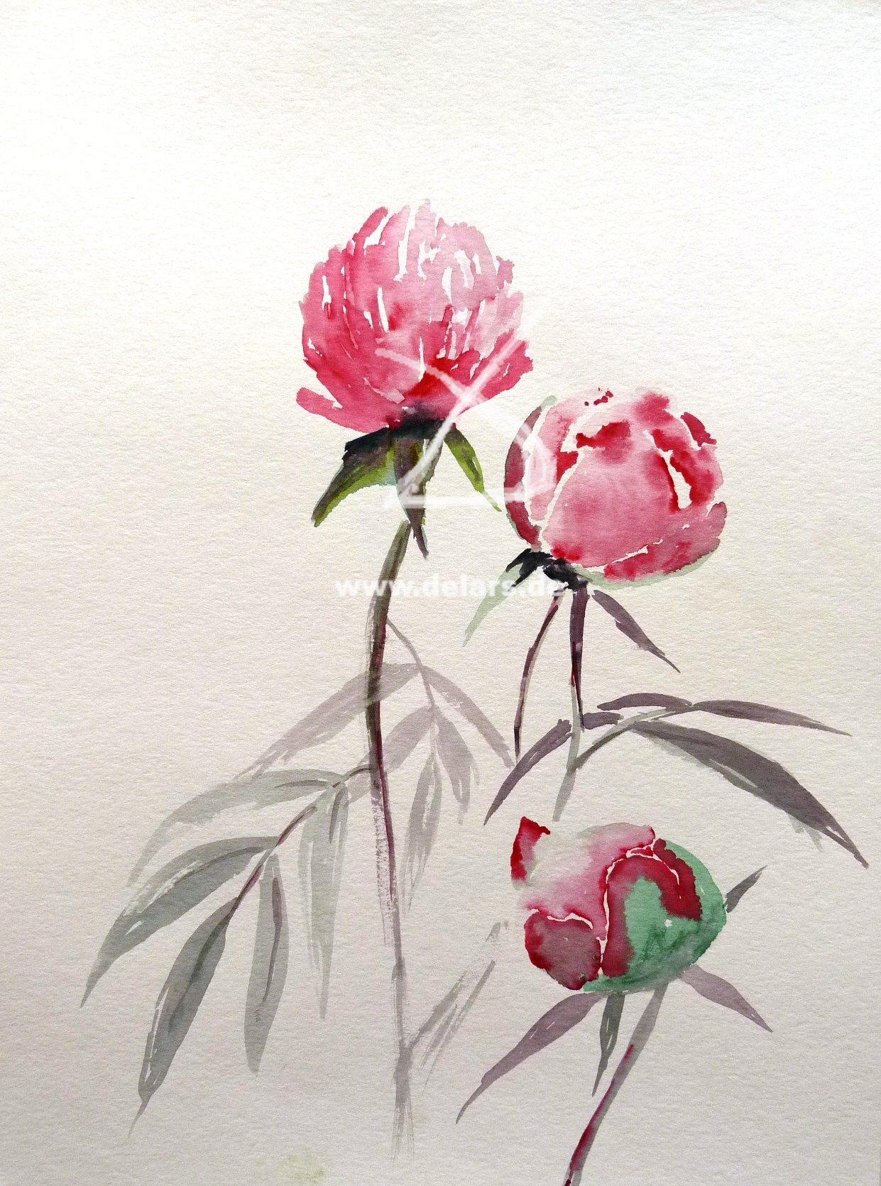 alternativ-text hier